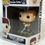 Thumbnail: Pugsley Addams #812 Pop! Vinyl with striped shirt and playful pose