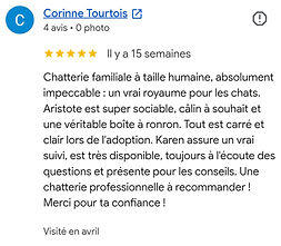 avis google
