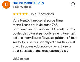 avis google