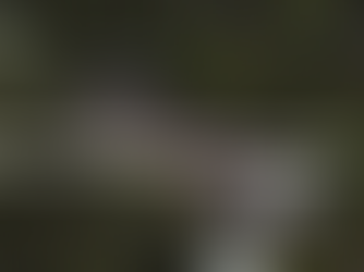 Outdoor School Holiday Programme Camps