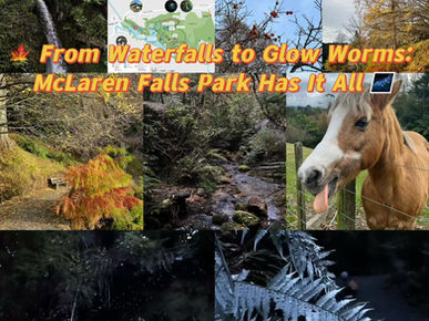🍁 From Waterfalls to Glow Worms: McLaren Falls Park Has It All 🌌