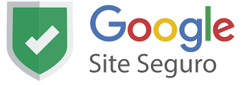 google_site_seguro.png