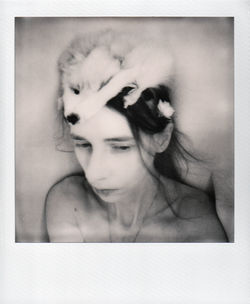 White fox VI