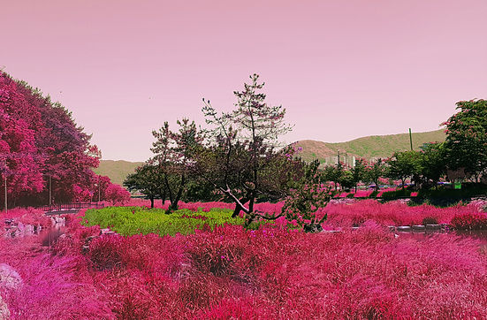 보이는_소리들(5회차_이미지1000px)_이솔희_20162592.jpg