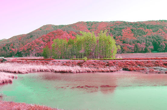 보이는_소리들(3회차_이미지1000px)_이솔희_20162592.jpg