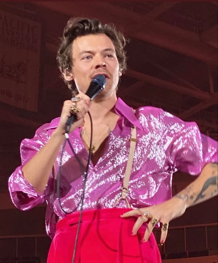 harry styles tour tampa fl