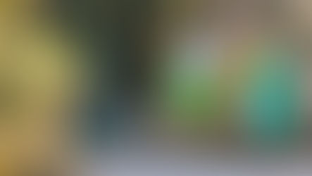 新年度スタート 特別入会キャンペーン