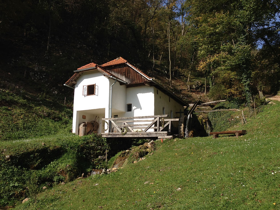 Dobrna_2014