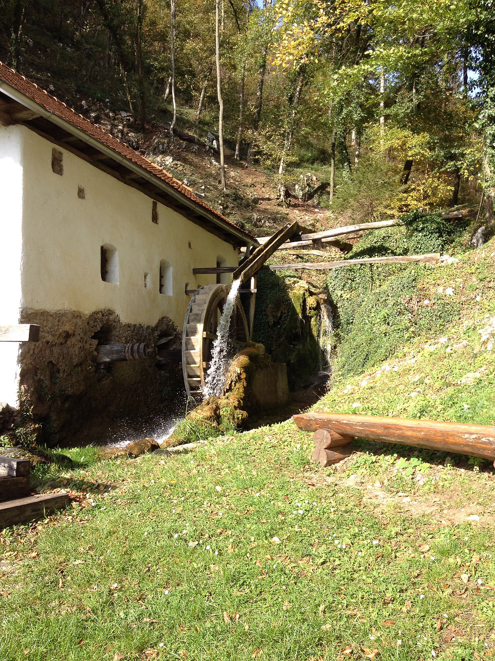 Dobrna_2014