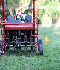 Core aeration service with plugs visible on a lawn in Sackville, improving root growth across the Halifax region
