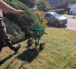 NovaGrass Turf Care technician applying lawn fertilizer in Halifax, Nova Scotia