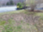 Grub damage visible in lawn, prior to any treatments - Halifax