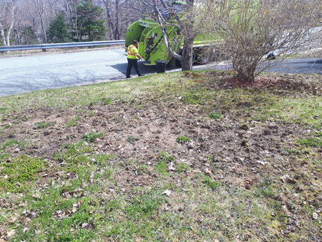 How to Identify & Treat Lawn Grub Damage