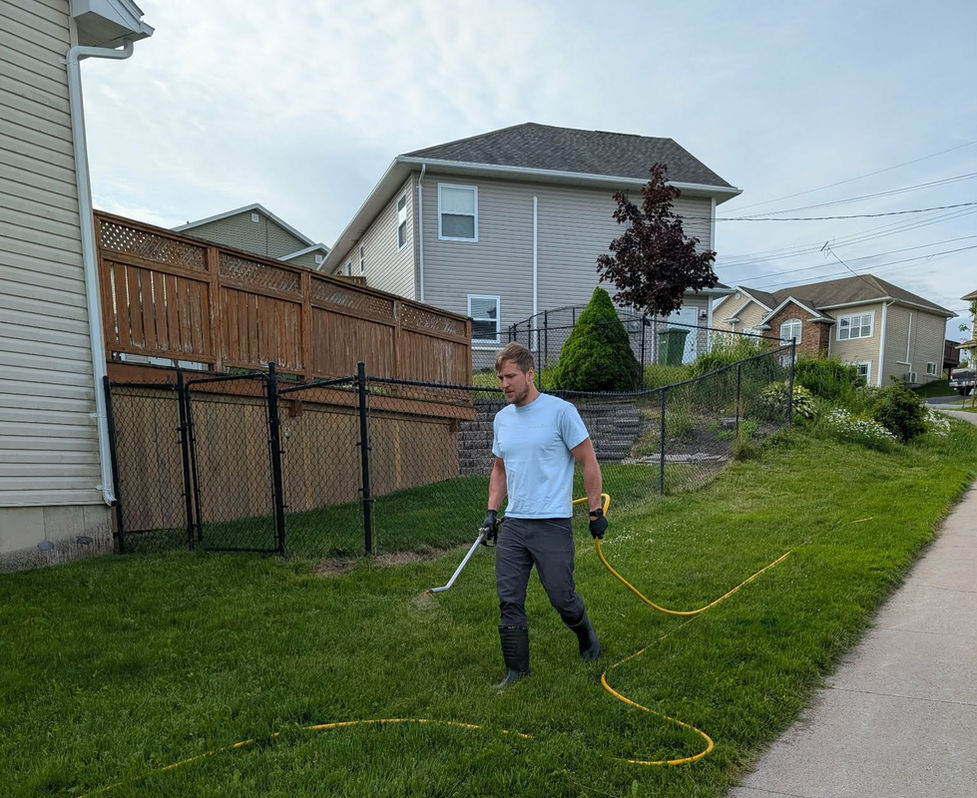 Targeted lawn treatment application by NovaGrass Turf Care on a residential lawn in Halifax Nova Scotia using hose-applied equipment