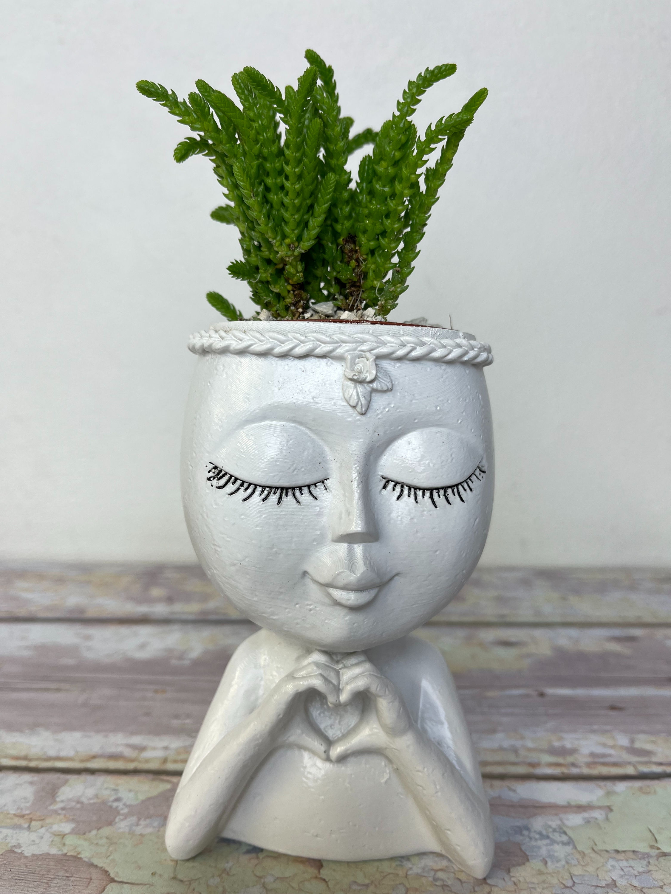 'Made with Love' House Plant