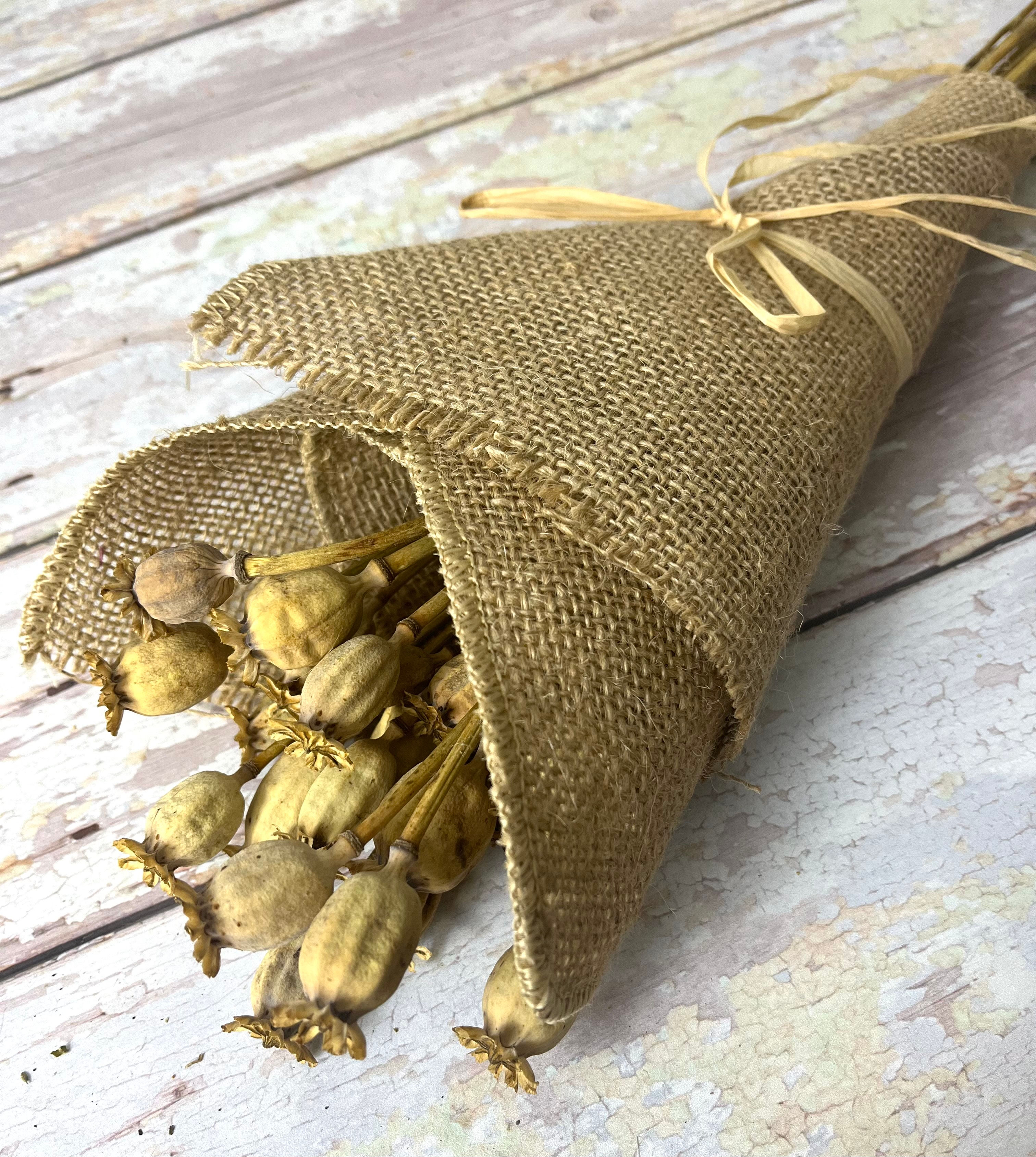 Dried Poppy Seed Heads