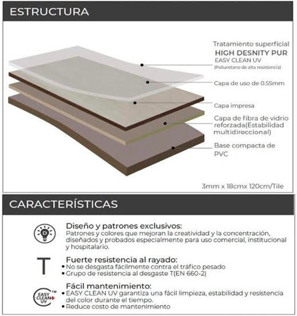 ESTRUCTURA Y CARACTERISTICAS
