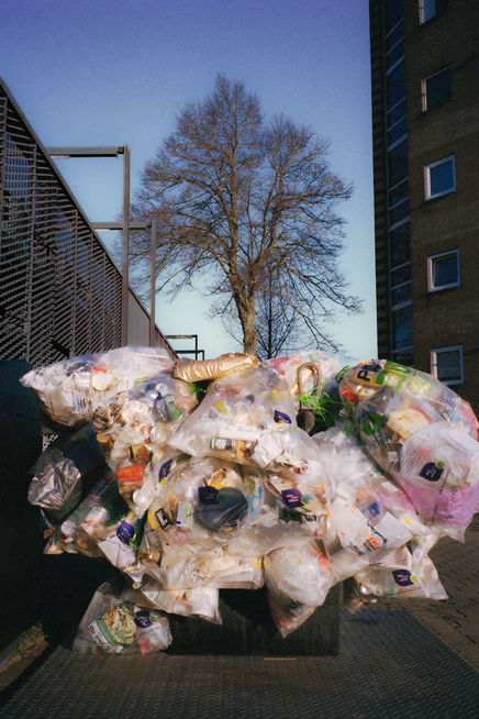 11사람의 나무 0430.jpg