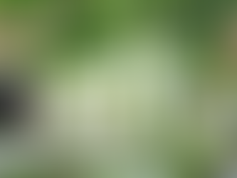 architecture website design London, architect website design, bespoke WordPress development, custom WordPress website, Figma web design process, architecture portfolio website, London web design agency, North London web design, Enfield web design, creative agency website design, responsive web design UK, UX UI design Figma, custom fields WordPress, architect portfolio development, branding and web design London