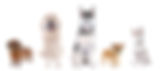 AdobeStock_114545113.jpeg