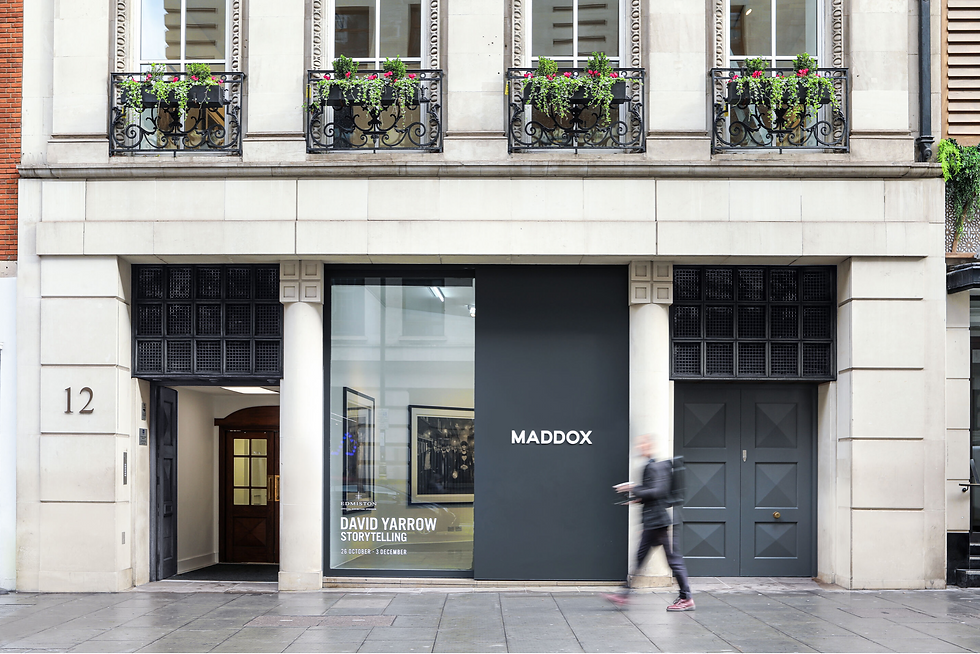 MaddoxGallery1