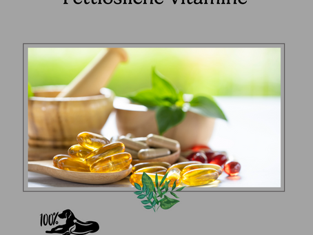 Fettlösliche Vitamine