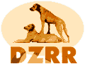 dzrrlogo.gif