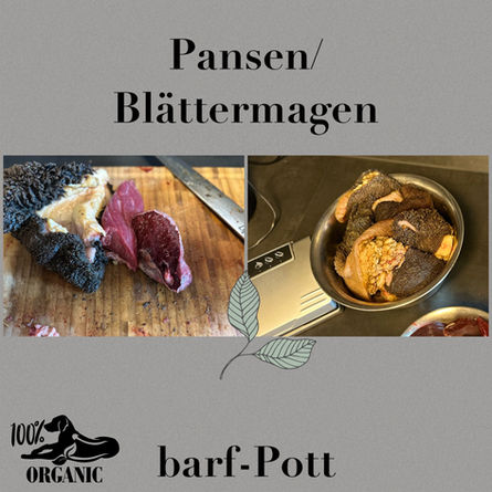 Pansen/Blättermagen