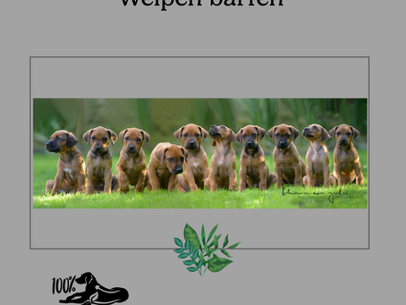 Welpen barfen
