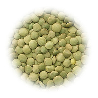 Green Lentils