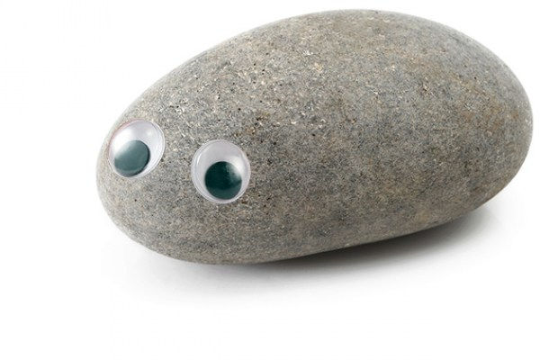 Thumbnail: Pet Rock