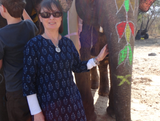 My Incredible India - The Elephants