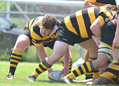 Hamilton Hornets Rugby Club - Men's team player