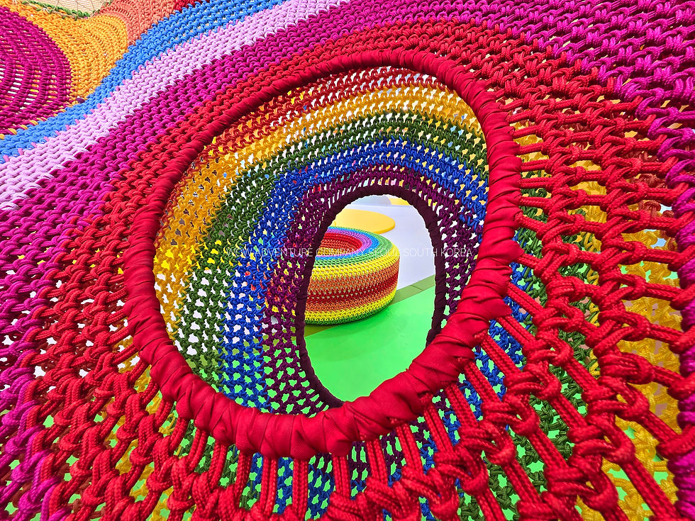 20260824_095447.jpg