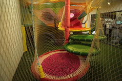 colorleaf08