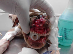 10474201_803411563004343_2859594559315160910_n