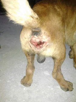 11836822_1025266540818843_4514103497493083442_n