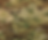 cammo pattern (1).png