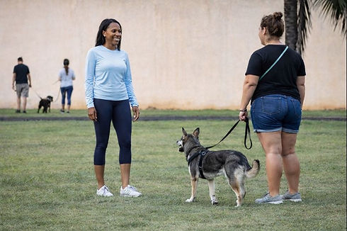 in-person intial consultation