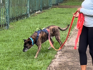 Why Behavior Change Fails Without Regulation