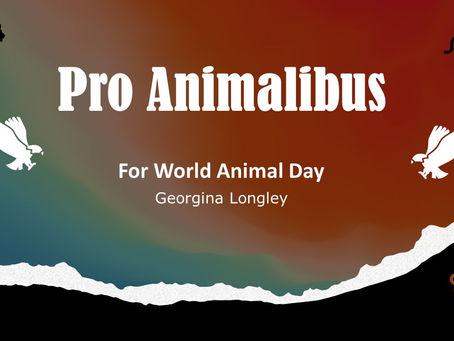 Pro Animalibus:For World Animal Day