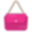 stylish-bag.png