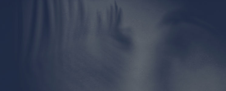 Shadow_edited.jpg