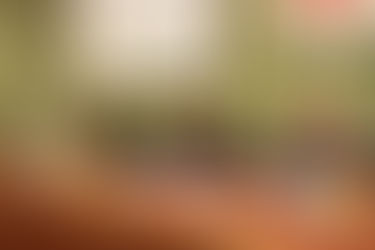 La Iglesia pide elecciones transparentes y al servicio del bien común