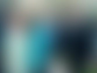 a group of members of the judiciary posing