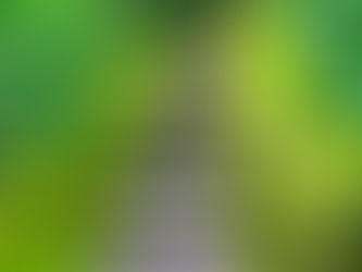 Portland Japanese Garden