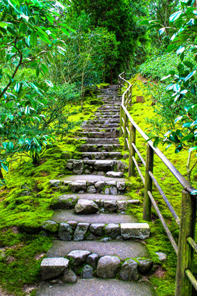 Portland Japanese Garden