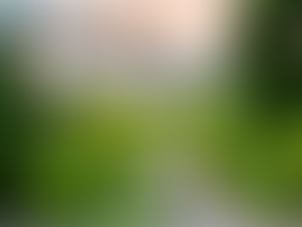 Mount Rainier National Park