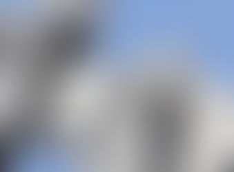 Dish’s cybersecurity problems drag stock to 5-year low