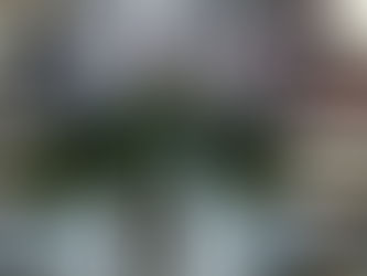 Are Wireless Subscribers Considering Switching to MVNOs? How Can You Get Them To Switch To Your MVNO?